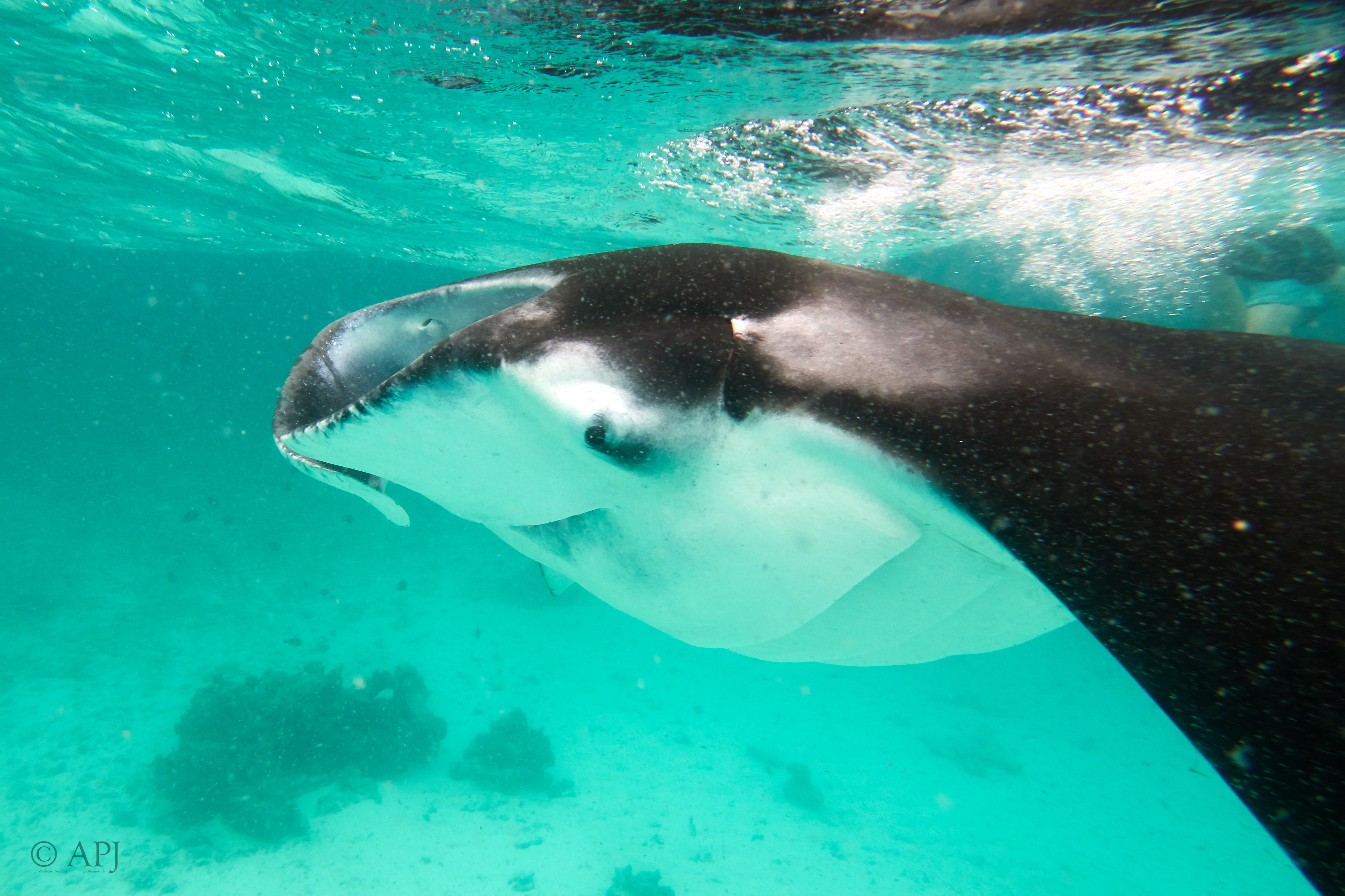 002664 17 08 17  Canon PowerShot G7 X Mark II   Malediven2017